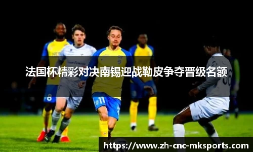 法国杯精彩对决南锡迎战勒皮争夺晋级名额