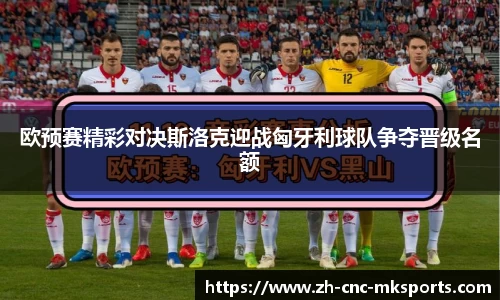 mk体育
